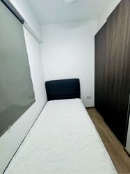 The Visionaire (D27), Condominium #619533971